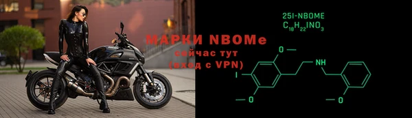 индика Киреевск